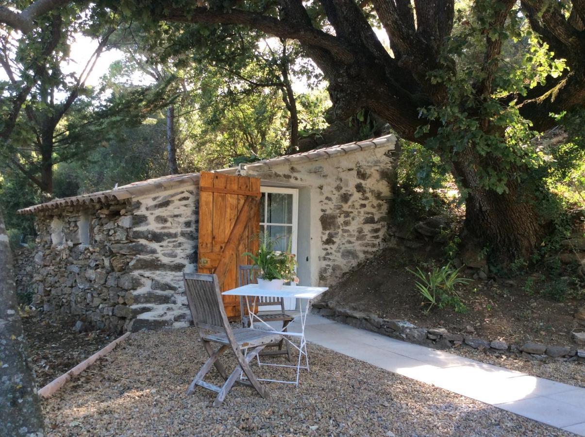 Les Hautes Roches Collobrières Exterior foto