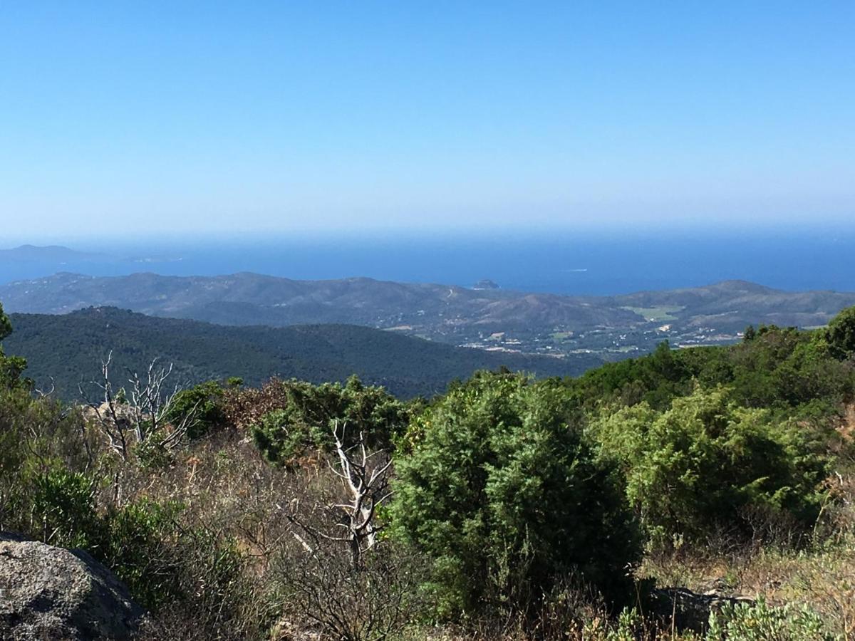 Les Hautes Roches Collobrières Exterior foto